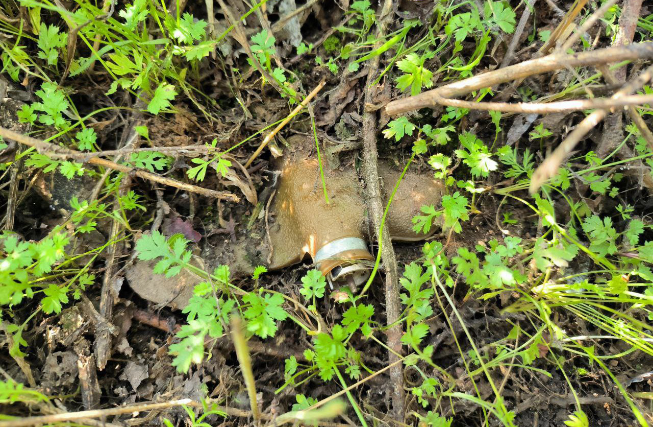 PFM-1 anti-personnel mine - ©Archive PFM-1 anti-personnel mine - ©Archive